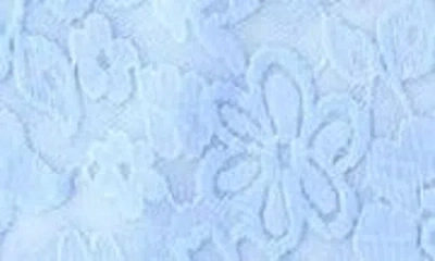 Hanky Panky Daily Lace™ Lace Camisole In Blue