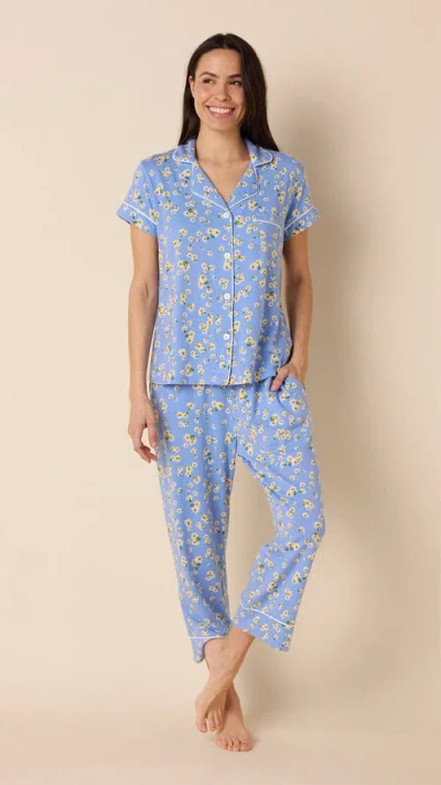The Cat's Pajamas Pima Knit Capri Pajama Set
