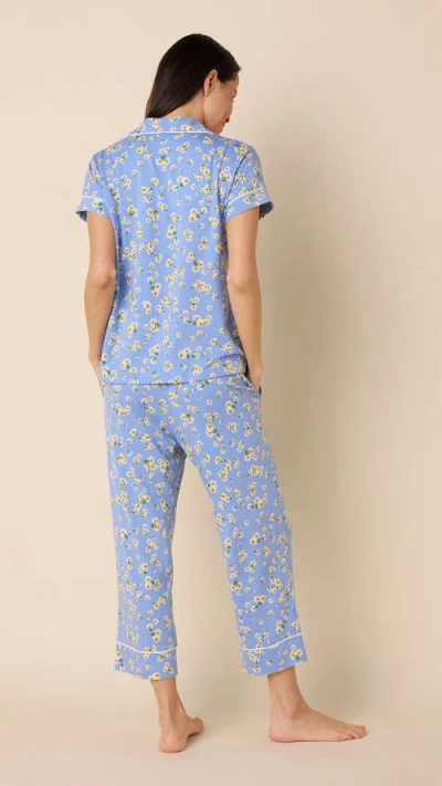 The Cat's Pajamas Pima Knit Capri Pajama Set