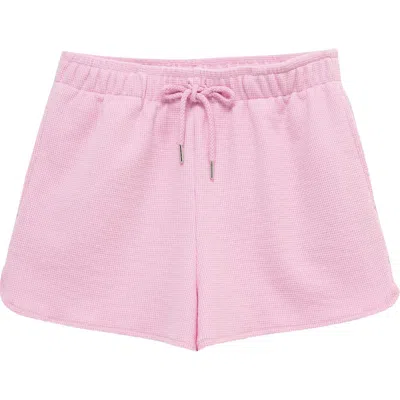Truce Kids' Thermal Knit Shorts In Pink