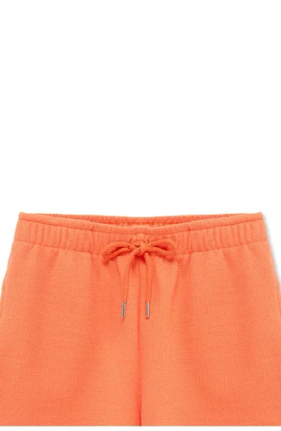 Truce Kids' Thermal Knit Shorts In Orange