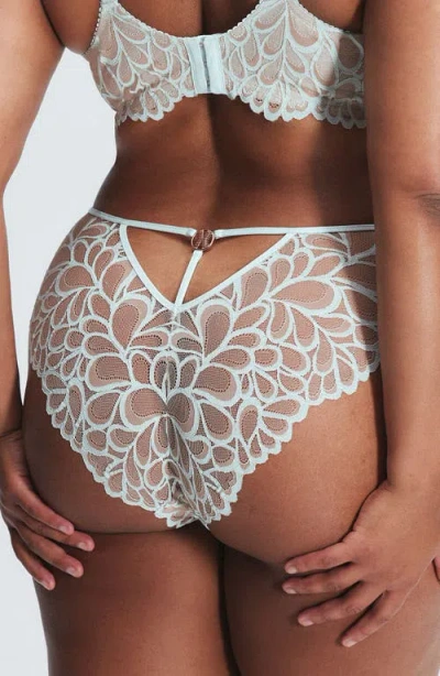 Savage X Fenty Savage Not Sorry Lace Cheeky Panties