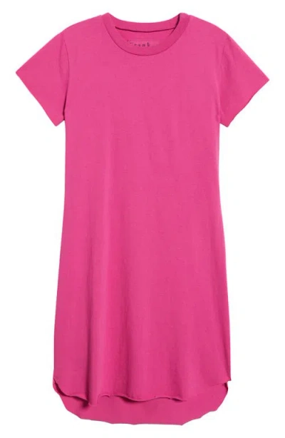 Frank & Eileen Harper Perfect T-shirt Dress