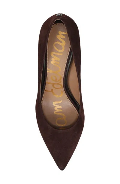 Sam Edelman Hazel Pointed Toe Pump In Brown