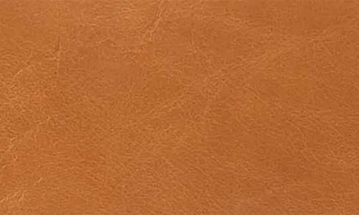 Hobo Sheila Leather Top Handle Tote