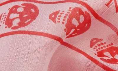 Alexander Mcqueen Mcqueen Skull Print Silk Scarf