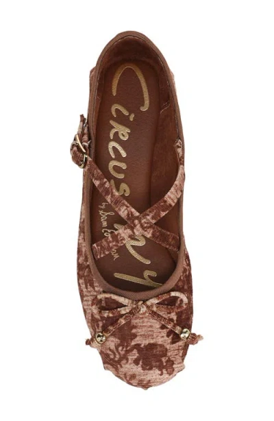 Circus Ny By Sam Edelman Zuri Strappy Ballet Flat In Brown