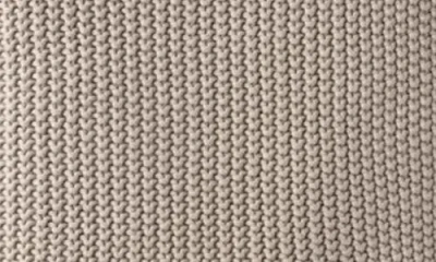 Domani Home Pale Whisper Throw Blanket In Brown