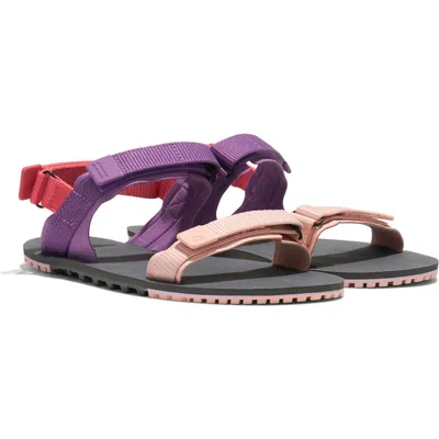 Xero Shoes D-trail Sandal