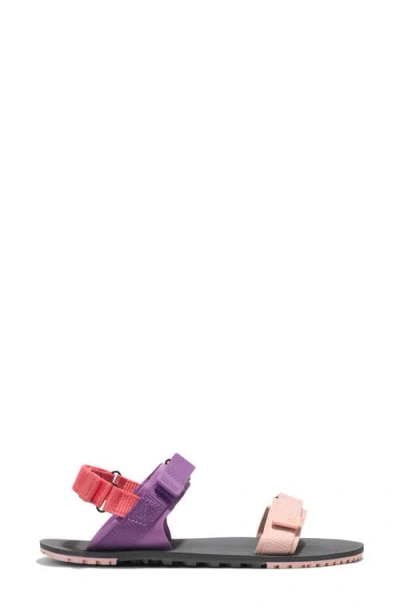 Xero Shoes D-trail Sandal