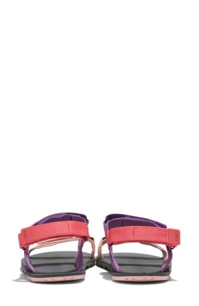 Xero Shoes D-trail Sandal