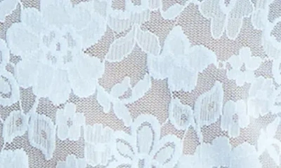 Hanky Panky Daily Lace Sheer Camisole