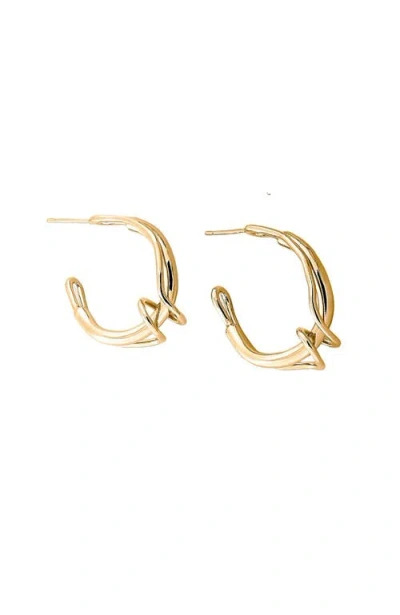 Pieretti Claudette Hoops