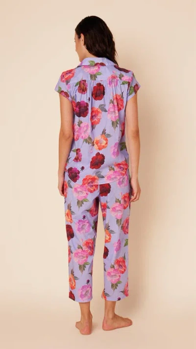 The Cat's Pajamas Luxe Pima Capri Pajama Set