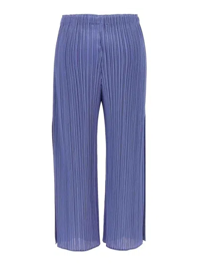 Issey Miyake Monthly Colors March Pants