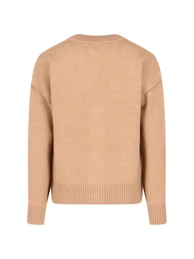 Ami Alexandre Mattiussi Ami Paris Sweaters In Brown