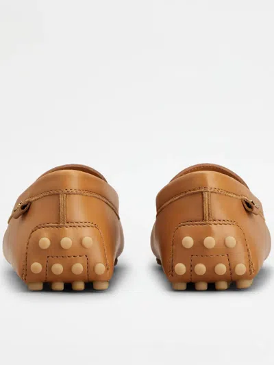 Tod's Shoes In Brown