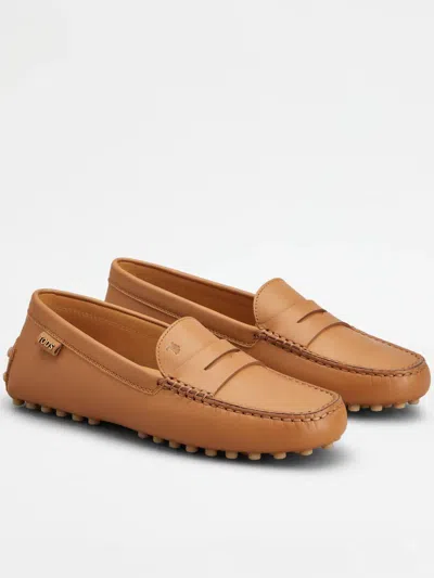 Tod's Shoes In Brown
