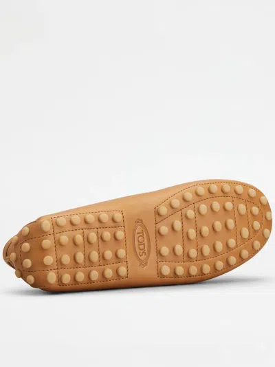 Tod's Shoes In Brown