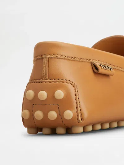 Tod's Shoes In Brown