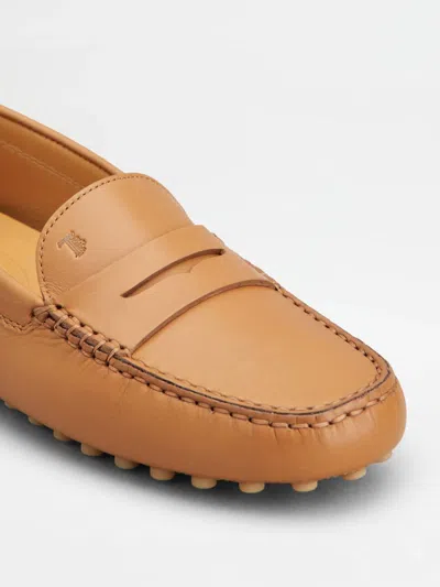Tod's Shoes In Brown
