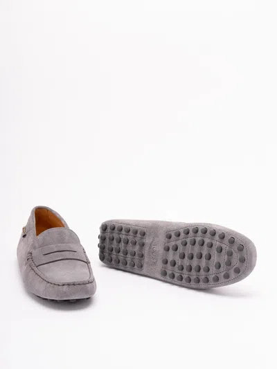 Tod's Women `gommino` Driving Shoes In Suede