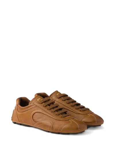 Prada Antiqued Sneakers Aus Leder In Brown