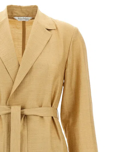 Max Mara Long Coat Cinched At Waist In Multi