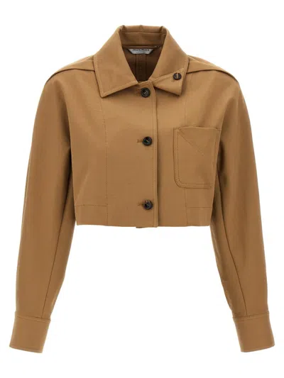 Max Mara Smalto Short Jacket In Brown