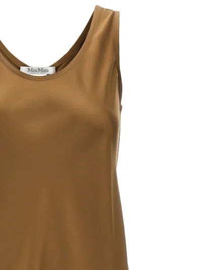 Max Mara Brown Banio Dress