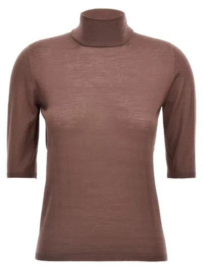 Max Mara Purple Cecina Turtleneck Sweater In Brown