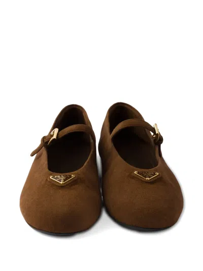 Prada Suede Ballerinas In Brown