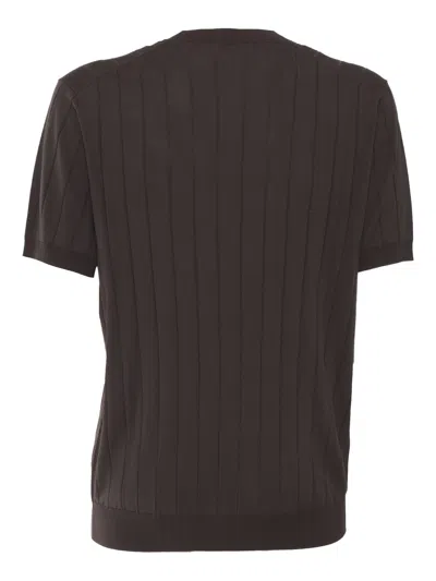 Kangra Cashmere Short Sleeve Sweater In Brown