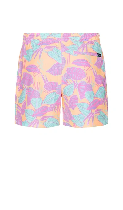 Chubbies The Posh Palms 5.5 Swim Short