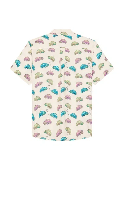 Chubbies The Blend
