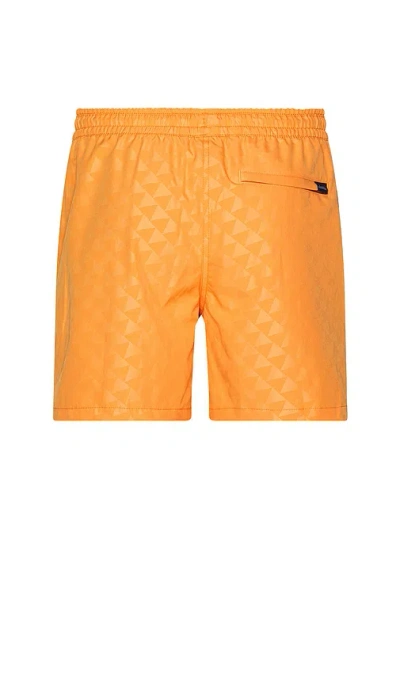 Chubbies The Carrot Cakes 5.5 Swim Short In Multi