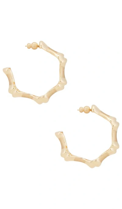 Cult Gaia Bamboo-shaped Hoop Earrings