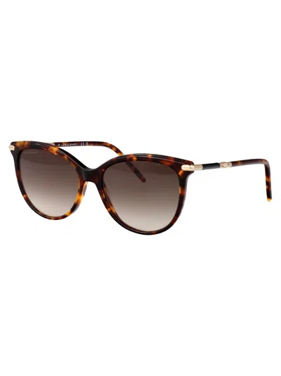 Longchamp Lo727s Sunglasses