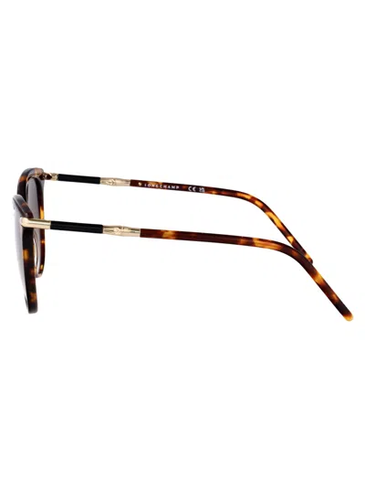 Longchamp Lo727s Sunglasses