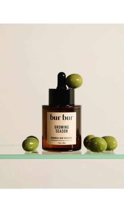 Bur Bur Growing Season Burdock Hair Growth And Repair Oil