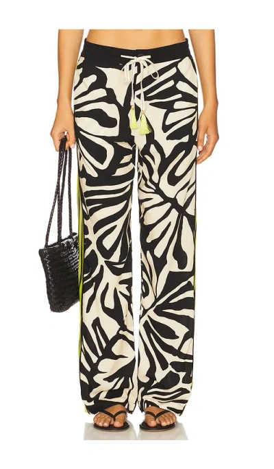 Le Superbe Bohemian Rhapsody Beach Boxer Pants In Multi