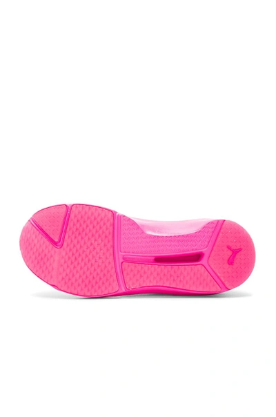 Shop Puma Fierce Bright Sneaker In Pink Glo