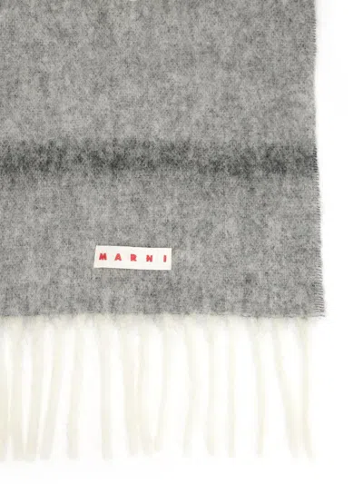 Marni Striped Alpaca Scarf Scarves And Foulards Grey