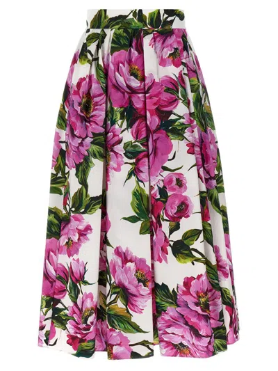 Dolce & Gabbana Womens Peonie Fuxia F.bco Floral-print Cotton Midi Skirt In Purple