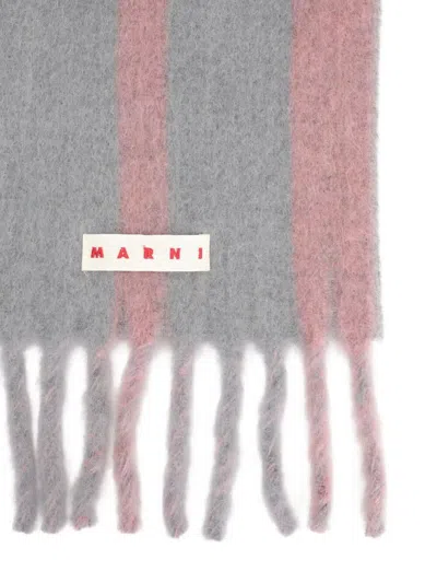 Marni Soft Fringe Striped Scarf In Pink