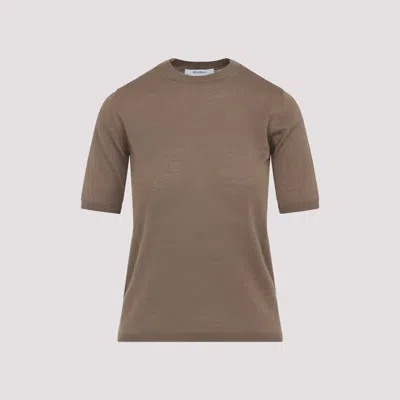 Max Mara Short-sleeve Virgin Wool Sweater With Classic Round Neckline In Brown