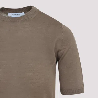Max Mara Short-sleeve Virgin Wool Sweater With Classic Round Neckline In Brown