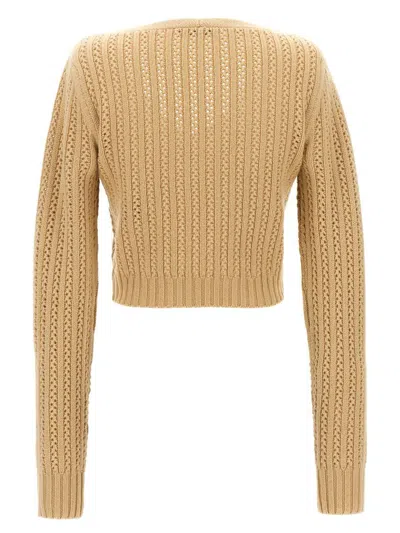 Max Mara Ifrem Sweaters And Cardigans Beige In Brown