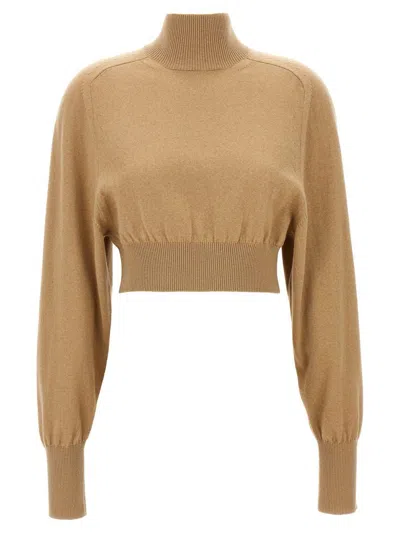 Sportmax Beige Ululato Turtleneck Sweater In Brown