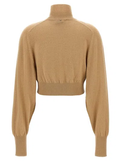 Sportmax Beige Ululato Turtleneck Sweater In Brown